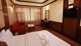 Hotel Vishnu Palace, Mussoorie-superior-non-view